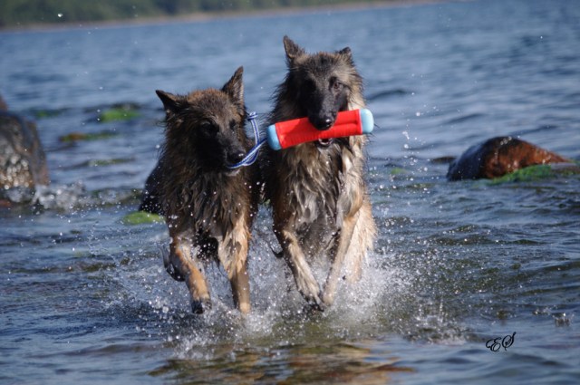 Kaya &amp; Pippi 24092017