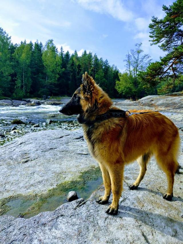 Embior Aiden_Kekkonen 08092018