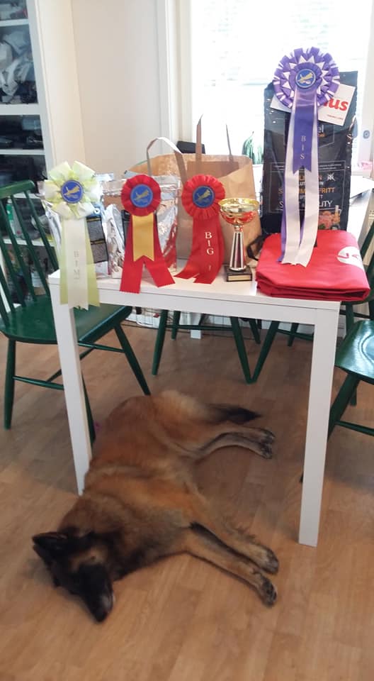 inoff priser 16092018