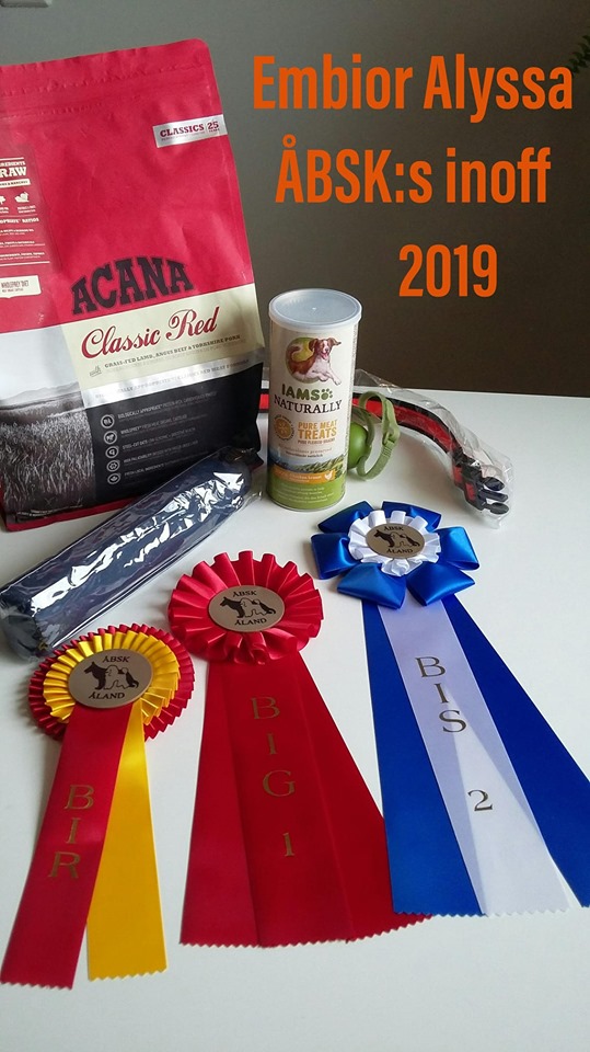Embior Alyssa ÅBSK inoff 2019