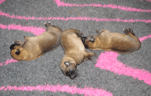 Embiors B-kull 18.01.2020