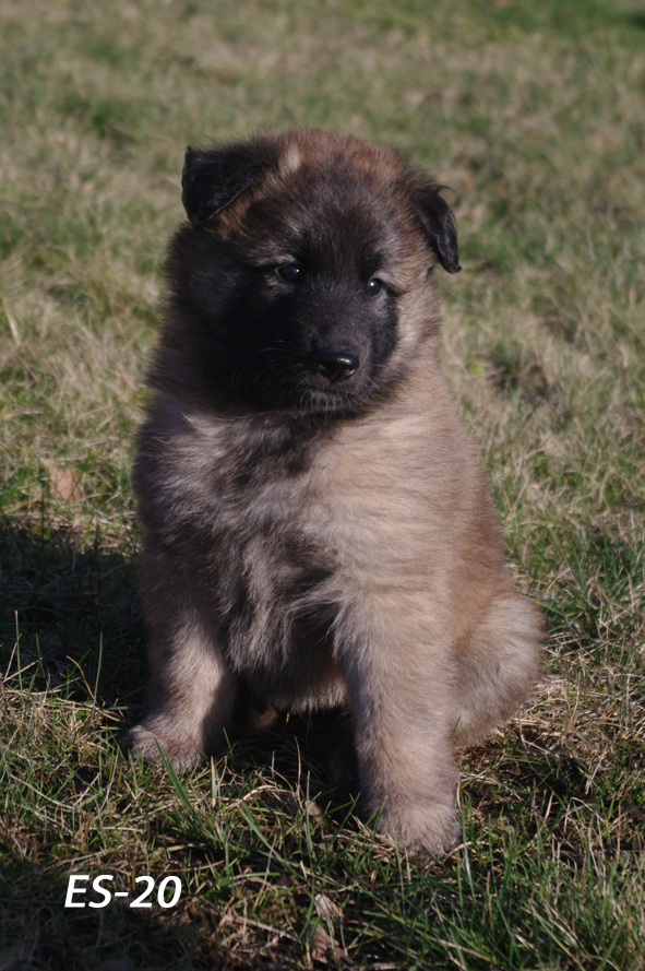 Embior Begeistra 19.02.2020