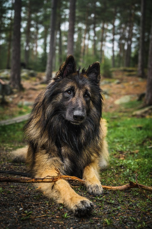 Embior Aston_May 2020_photo P. Anttila