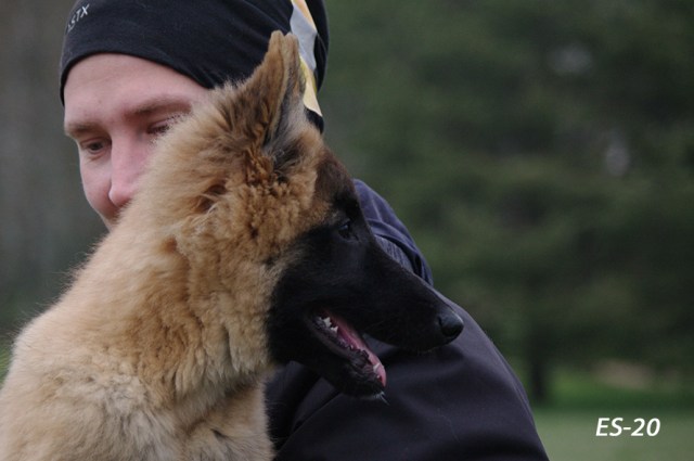 Embior Belgarion 02.05.2020