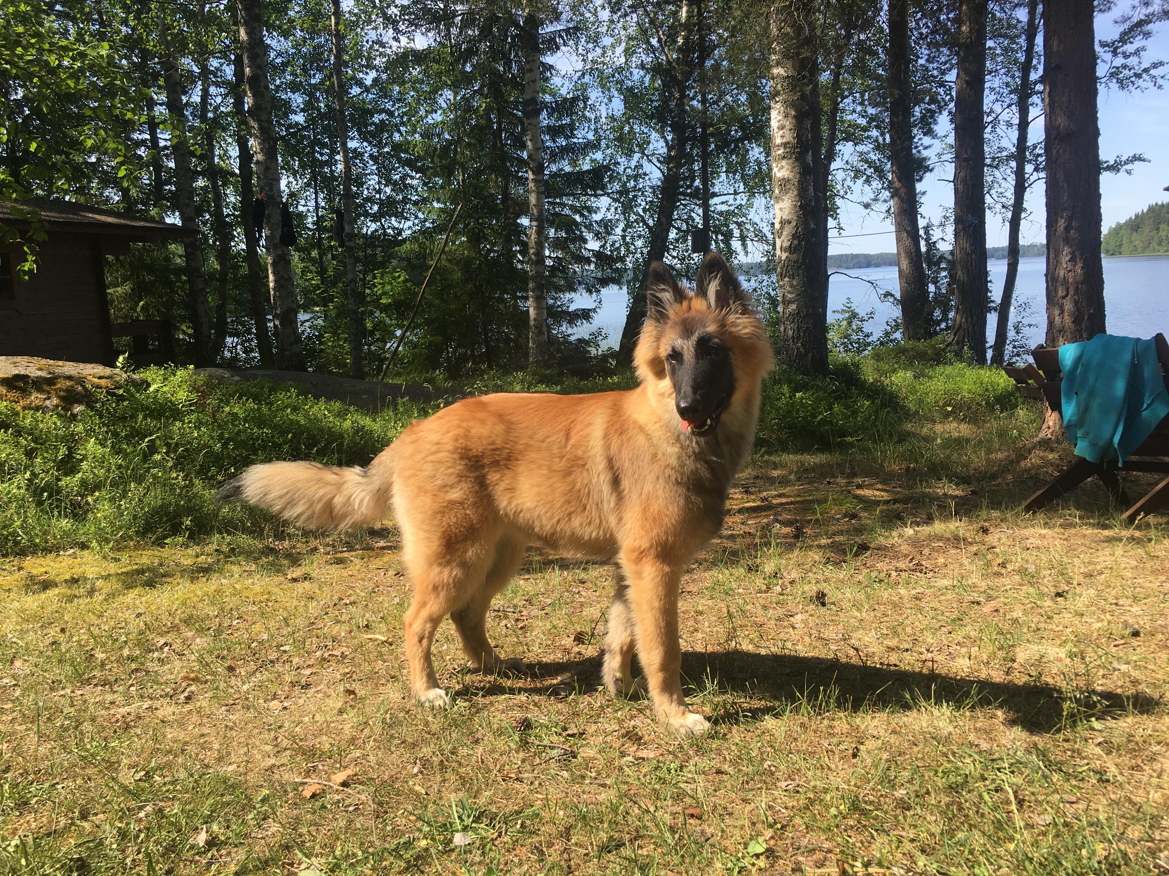 Nella_Embior Begeistra 24062020