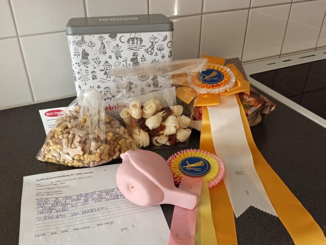 Belgarion inoff 29.07.2020