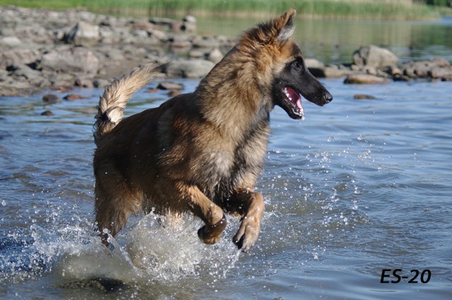 Embior Belgarion 19062020